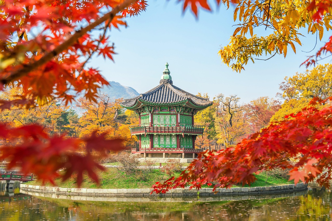 découvrez les causes, impacts et solutions de la dégradation des sols pour préserver la qualité des terres agricoles et protéger l'environnement.