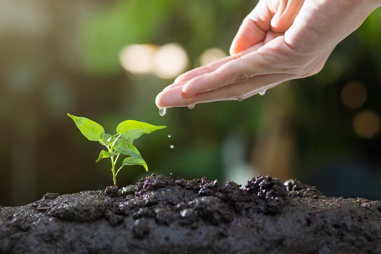 découvrez tout sur l'écologie : la science qui étudie les interactions entre les êtres vivants et leur environnement pour promouvoir un avenir durable.