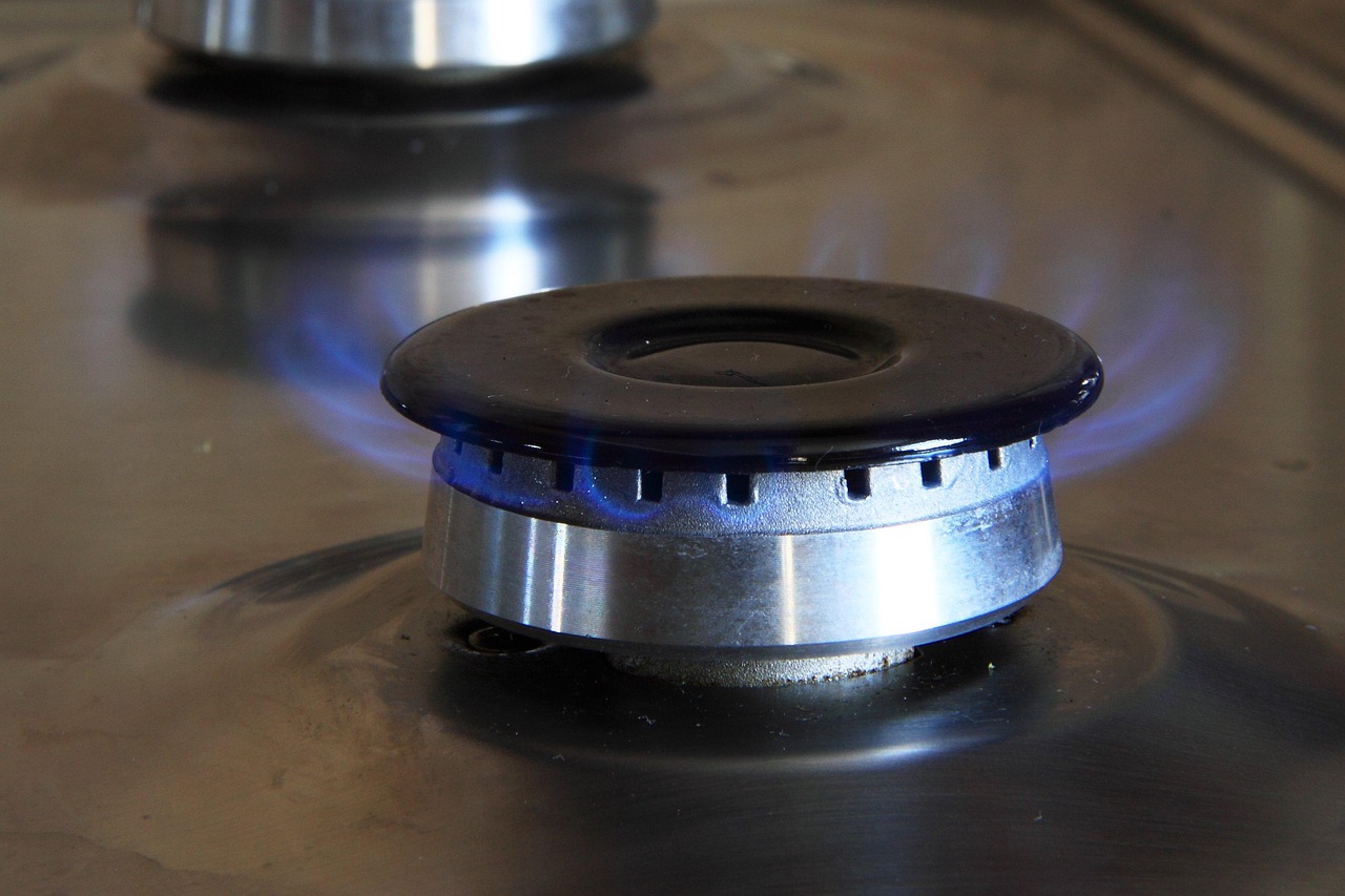 découvrez ce que sont les combustibles fossiles, leur origine, leur impact sur l'environnement et leur rôle dans la production d'énergie. informez-vous sur les alternatives et les enjeux liés à leur utilisation.