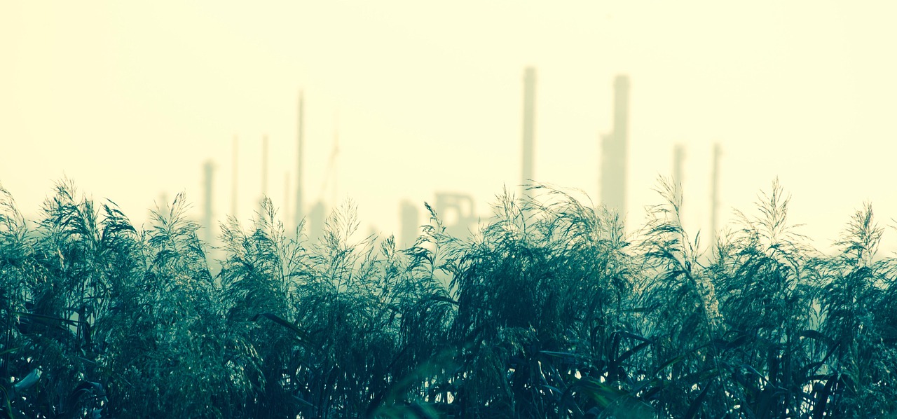 découvrez comment l'écologie industrielle peut transformer les processus de production en réduisant les déchets, en optimisant l'utilisation des ressources et en créant des synergies entre les entreprises pour un développement durable.