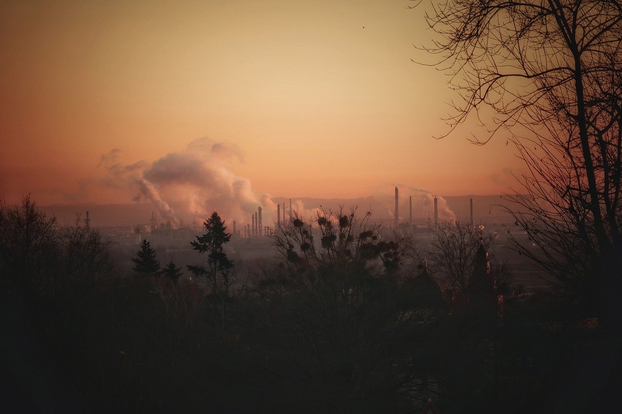 découvrez l'écologie industrielle, une approche innovante qui vise à optimiser l'utilisation des ressources et à réduire les déchets en intégrant les processus industriels de manière durable. apprenez comment cette discipline contribue à la transition vers une économie circulaire et à la préservation de notre environnement.
