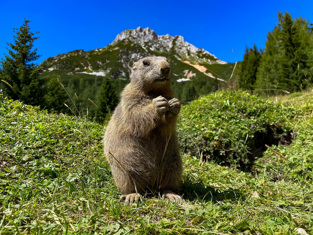 découvrez l'importance de la biodiversité, essentielle à la santé de notre planète. apprenez comment elle influence nos écosystèmes, notre climat et notre survie, et explorez des solutions pour la protéger et la préserver pour les générations futures.
