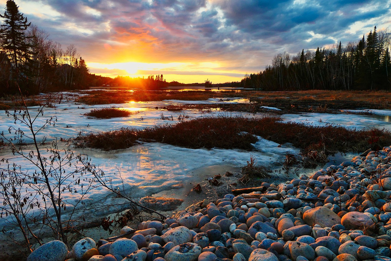 découvrez notre plan climat biodiversité visant à protéger et restaurer la nature tout en luttant contre le changement climatique pour un avenir durable.