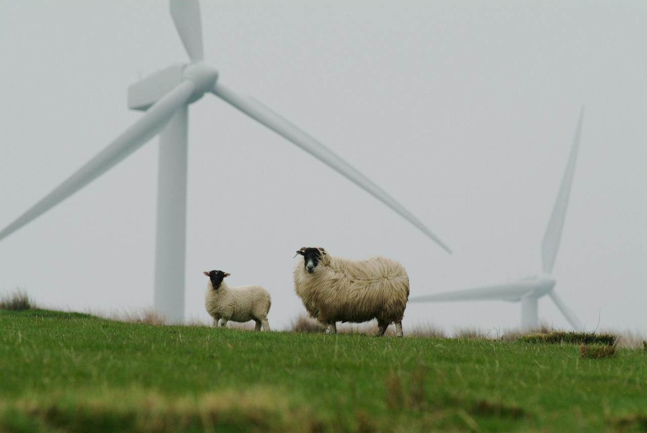 découvrez comment l’agriculture durable favorise la préservation de l’environnement, la rentabilité des exploitations agricoles et le bien-être des communautés, tout en assurant la sécurité alimentaire des générations futures.