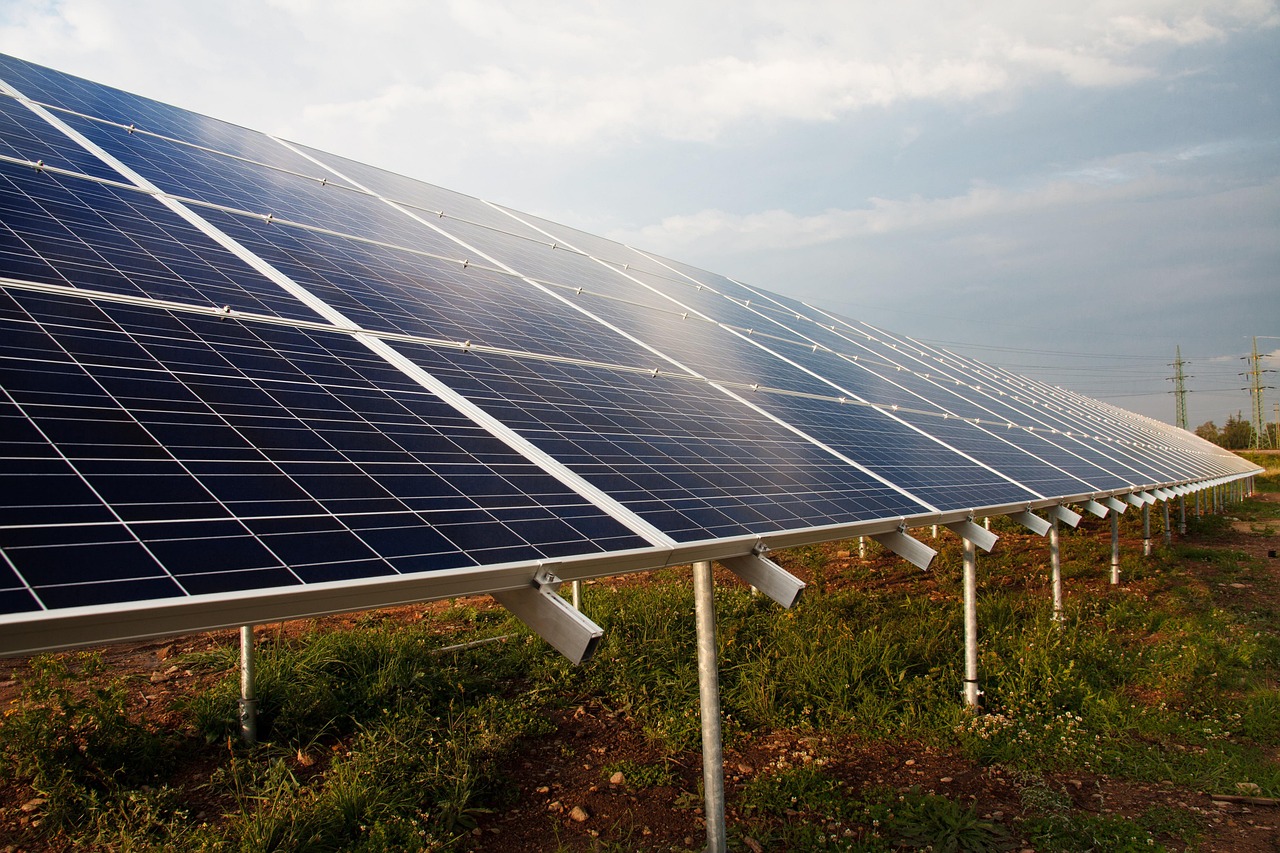 découvrez des alternatives durables pour un mode de vie éco-responsable. explorez des produits et solutions respectueux de l'environnement qui contribuent à préserver notre planète tout en répondant à vos besoins quotidiens.