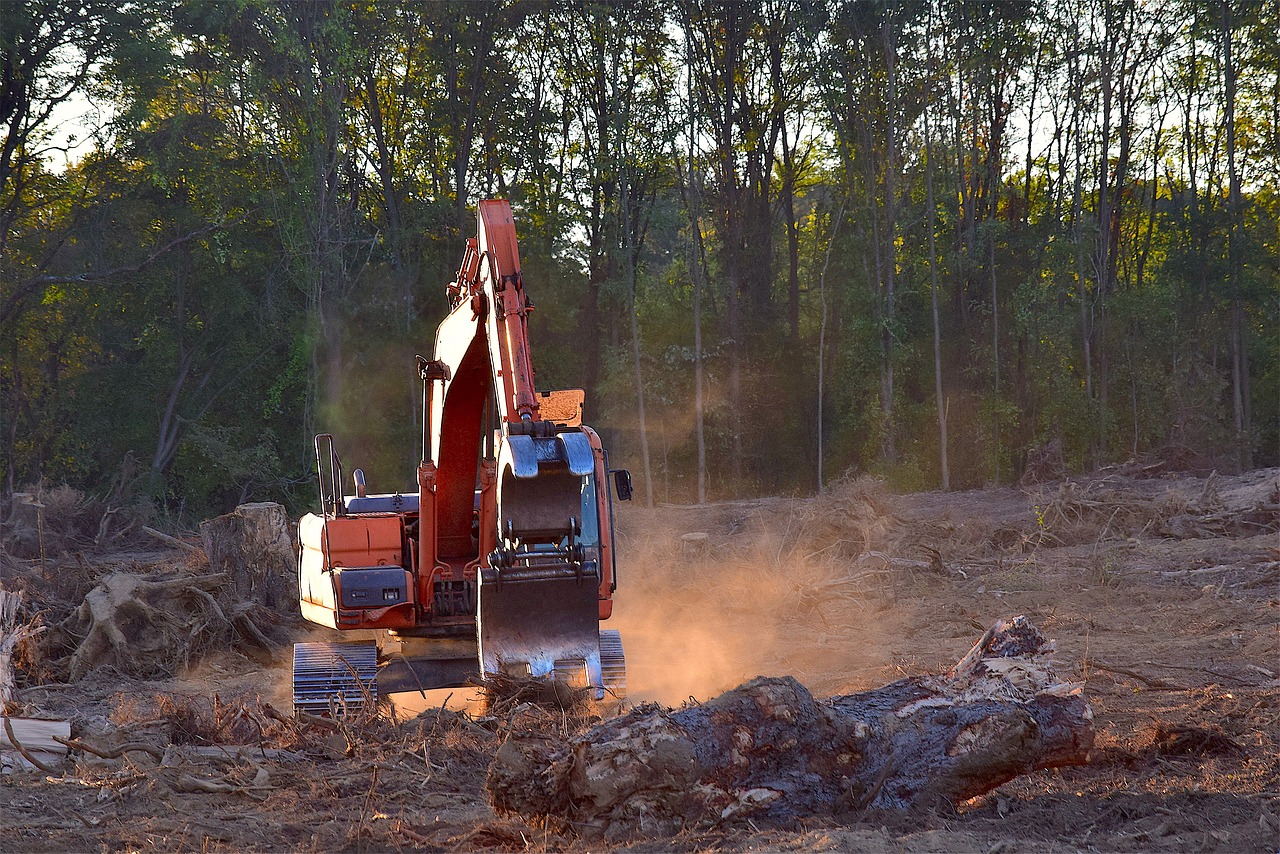découvrez les enjeux de la déforestation, ses impacts sur l'environnement et la biodiversité, ainsi que les actions à entreprendre pour préserver nos forêts et lutter contre le changement climatique.