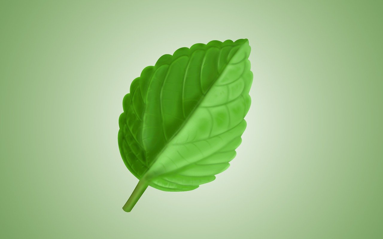 découvrez des gestes éco-responsables simples pour préserver l'environnement au quotidien et adopter un mode de vie durable.