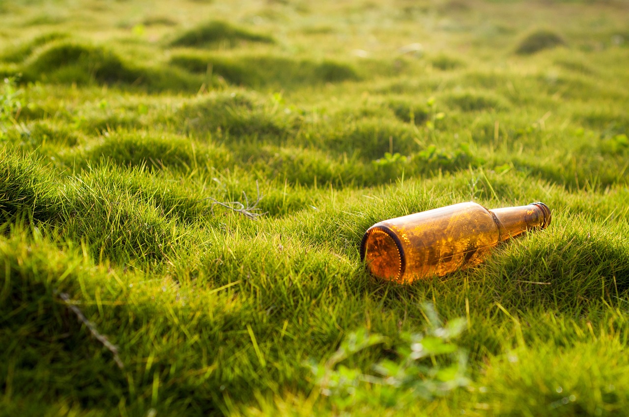 découvrez l'impact environnemental des activités humaines, les enjeux écologiques actuels et des solutions pour préserver la planète. comprenez comment réduire votre empreinte écologique au quotidien.