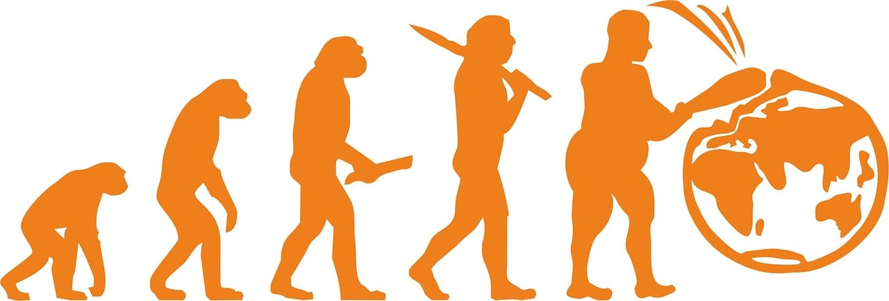 découvrez les différentes facettes de l'évolution, un processus fascinant qui a façonné la biodiversité et les espèces sur terre. explorez les mécanismes de l'évolution et son impact sur notre compréhension de la vie.