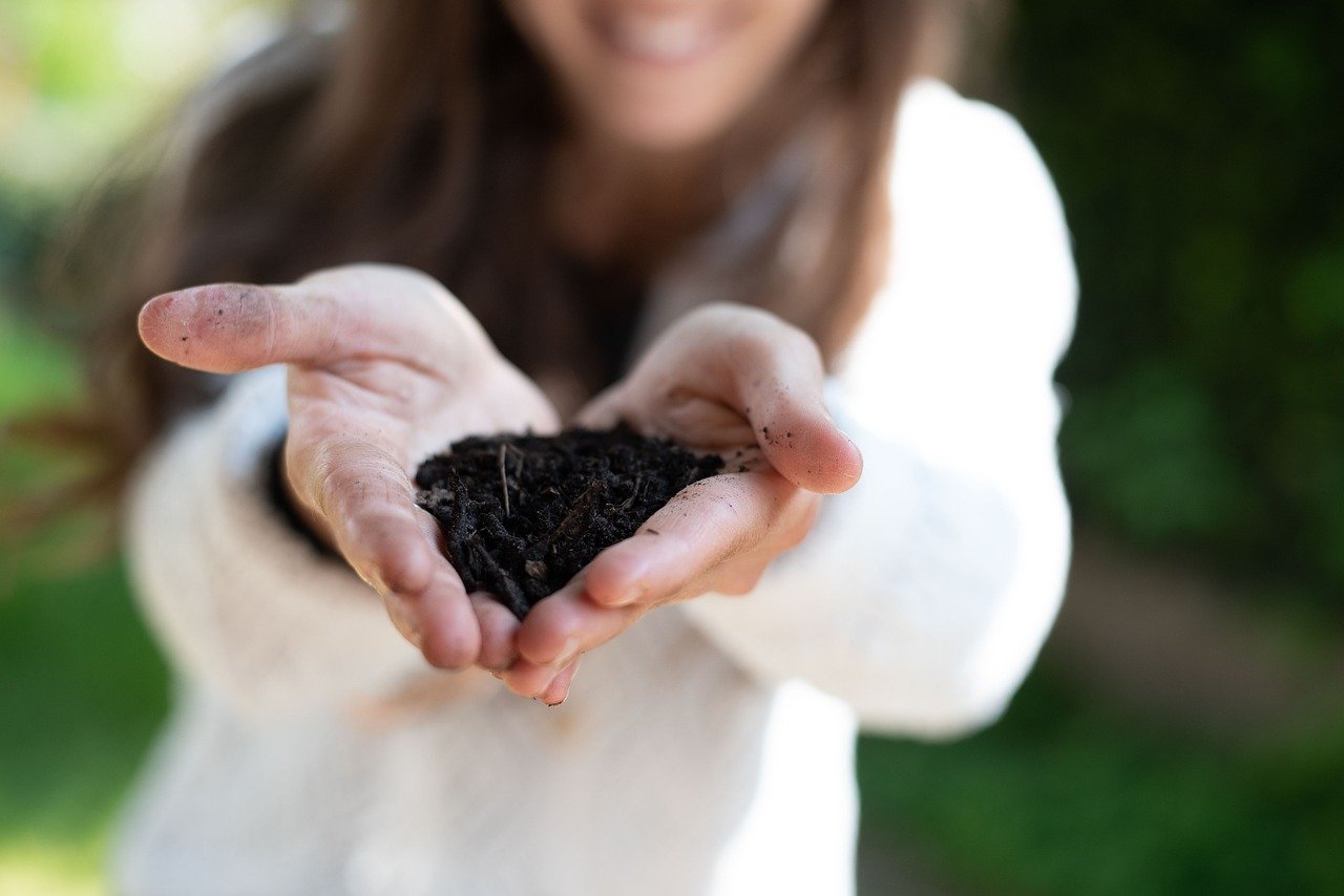 découvrez comment adopter un mode de vie durable grâce à des conseils pratiques, des astuces écologiques et des solutions responsables pour préserver l’environnement au quotidien.