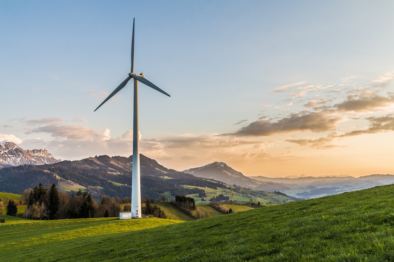 découvrez les enjeux et les solutions de la transition écologique pour un avenir durable, alliant innovation, respect de l'environnement et responsabilité sociale.