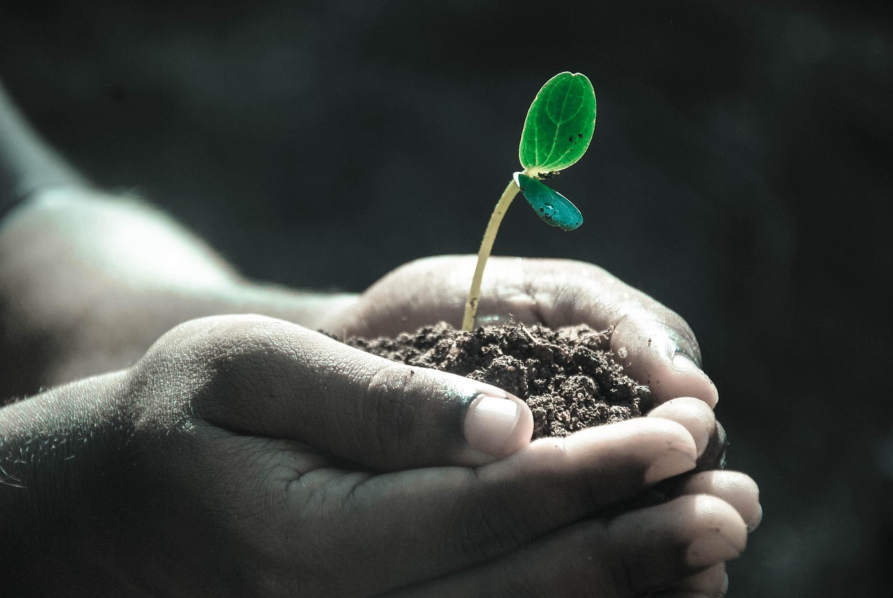 la dégradation des sols : causes, impacts environnementaux et solutions pour préserver la qualité des terres agricoles.