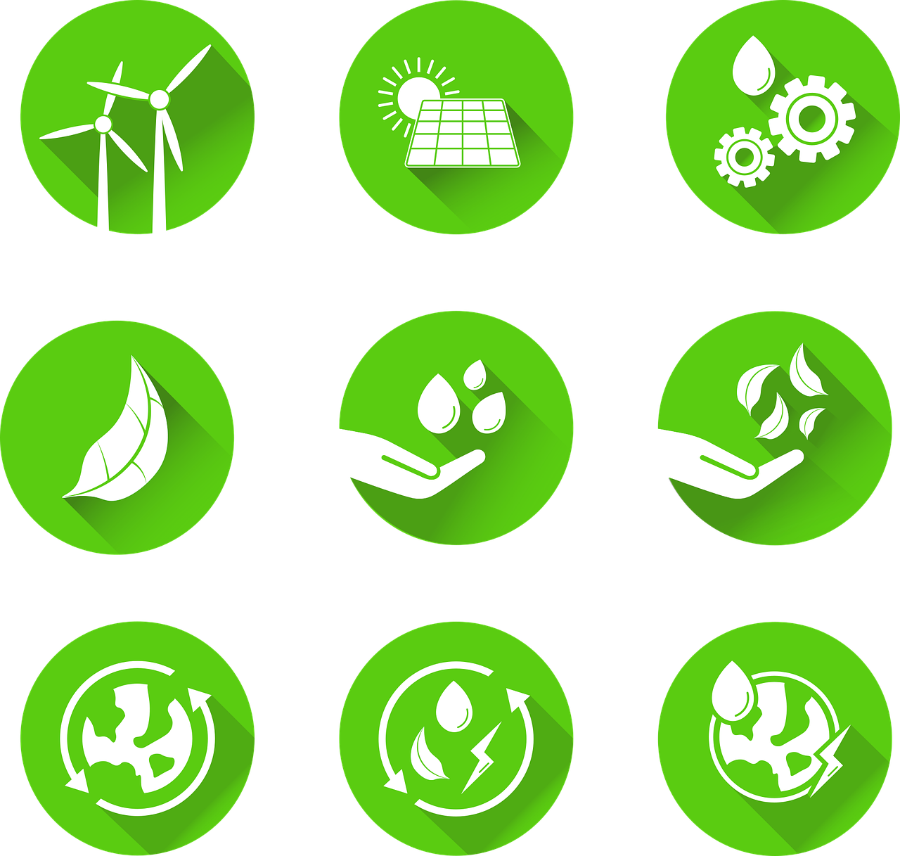 découvrez des pratiques de conservation durable qui préservent notre environnement tout en favorisant le développement responsable. apprenez comment intégrer des solutions écologiques pour protéger la biodiversité et contribuer à un avenir plus durable.