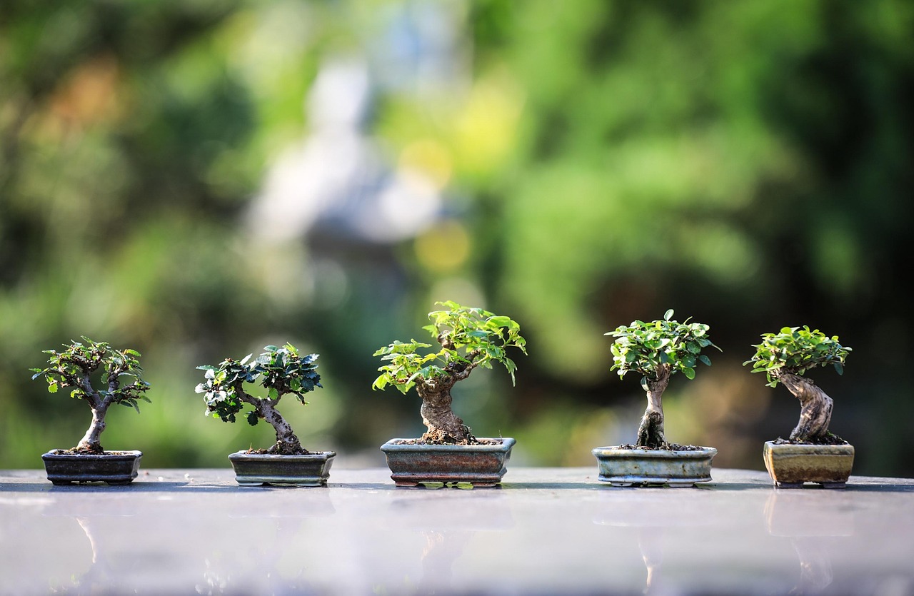 découvrez l'art de la poterie : techniques, inspirations et créations uniques pour tous les passionnés de céramique.