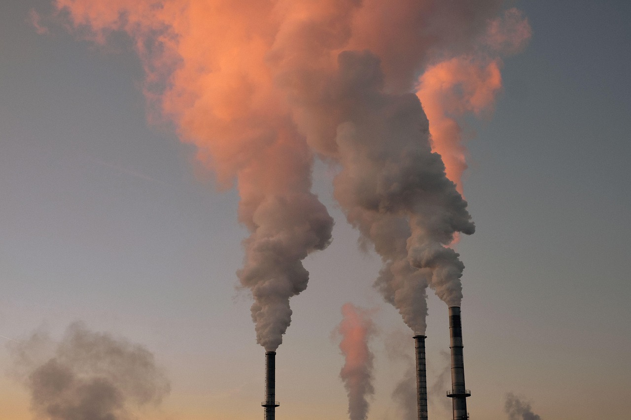 découvrez des informations et actualités sur l'environnement, la protection de la nature, le développement durable et les actions pour préserver notre planète.