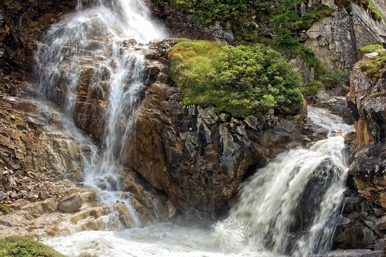 découvrez tout sur l'environnement : la protection de la nature, la biodiversité, le changement climatique et les actions pour un avenir durable.