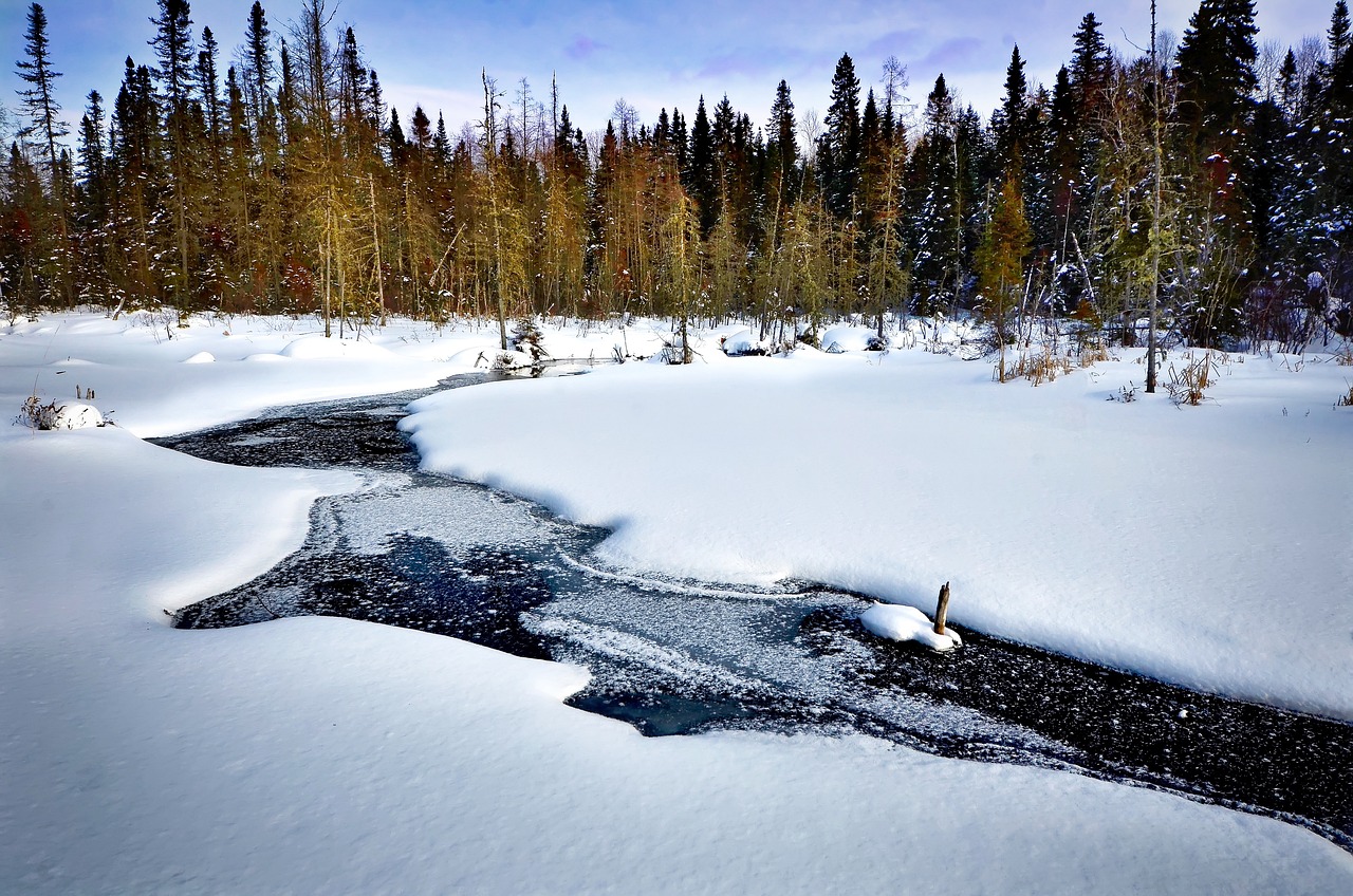 découvrez la richesse et la diversité des écosystèmes, leur rôle essentiel dans notre environnement, ainsi que les menaces qu'ils rencontrent. explorez comment la préservation de ces systèmes naturels est cruciale pour la biodiversité et le bien-être de notre planète.