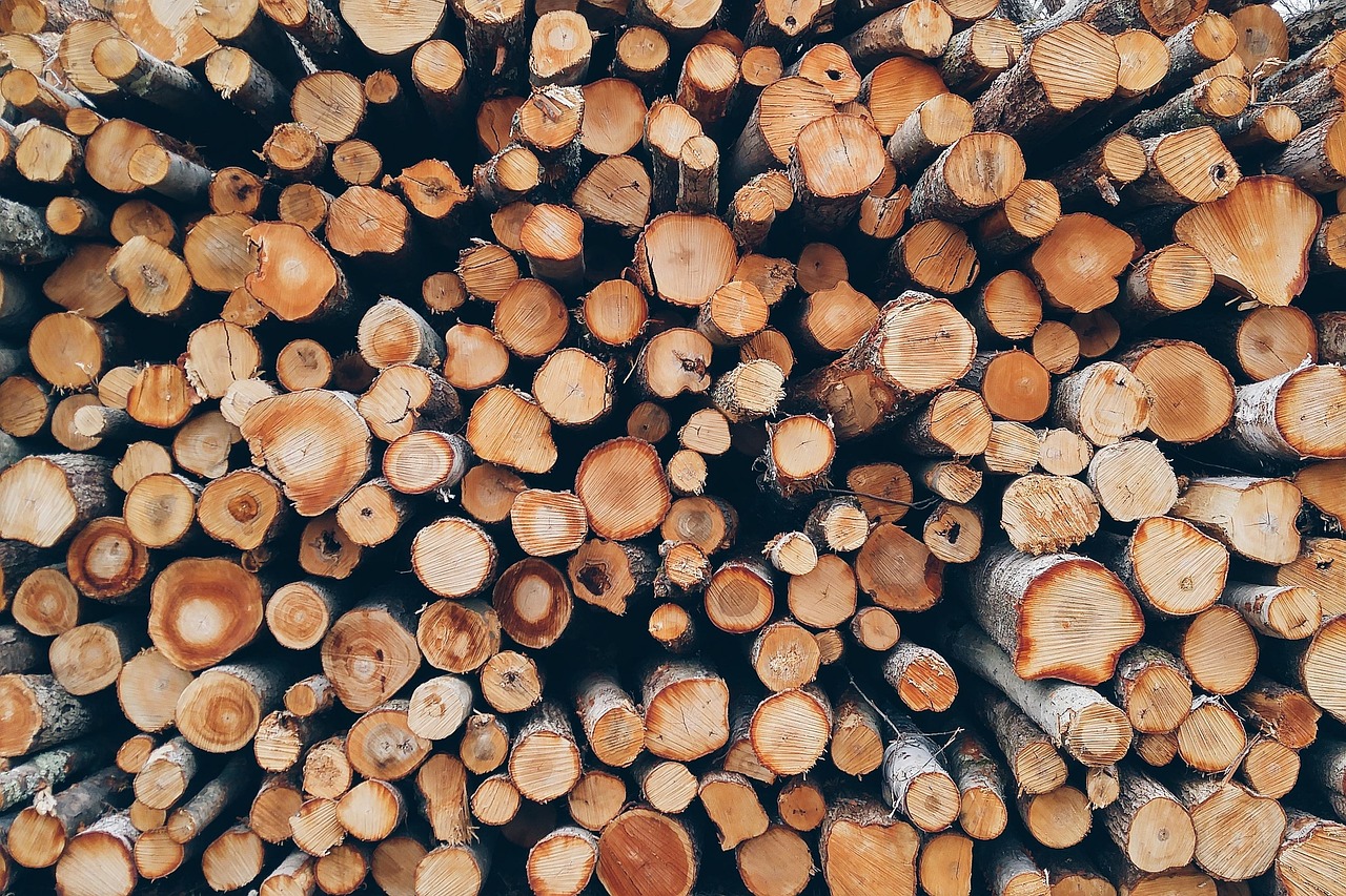 découvrez le domaine de la foresterie : gestion durable des forêts, méthodes innovantes, préservation de la biodiversité et enjeux environnementaux. informez-vous sur les pratiques et métiers liés à la sylviculture.