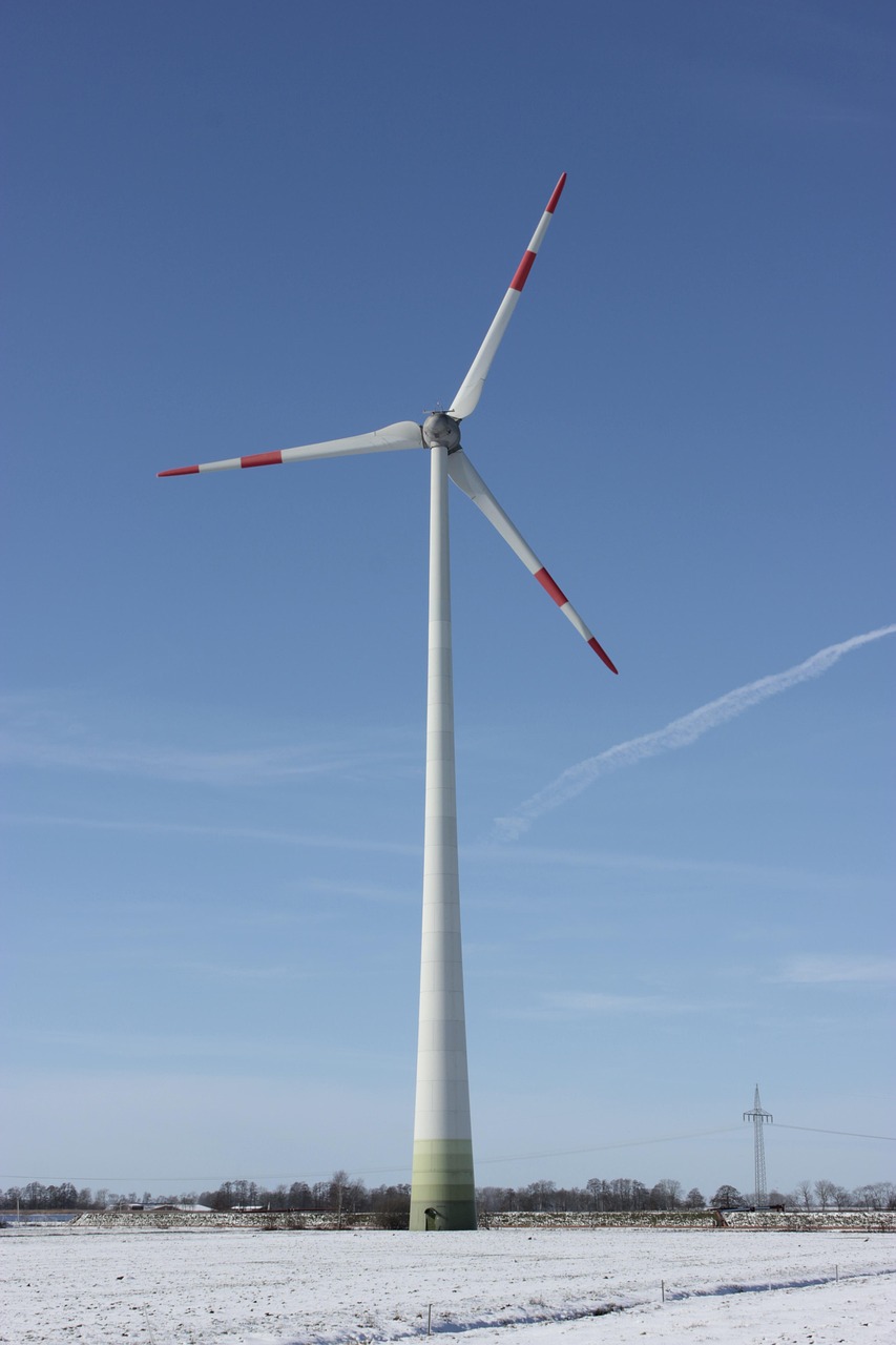 découvrez comment adopter des pratiques durables pour préserver l'environnement et promouvoir un avenir responsable.