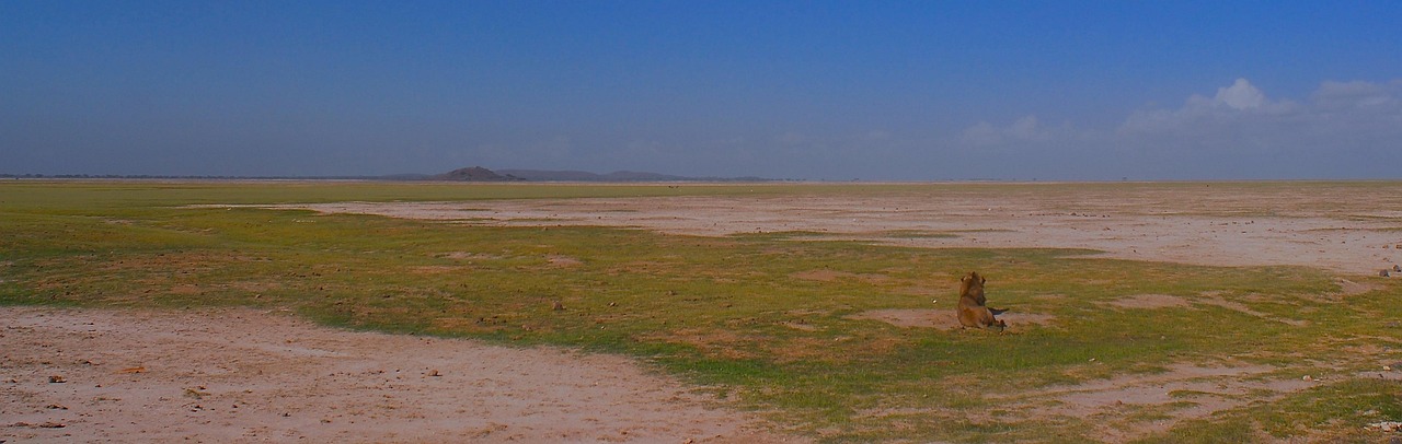 découvrez les initiatives et solutions pour lutter contre le changement climatique et protéger notre planète grâce à des actions concrètes en faveur du climat.