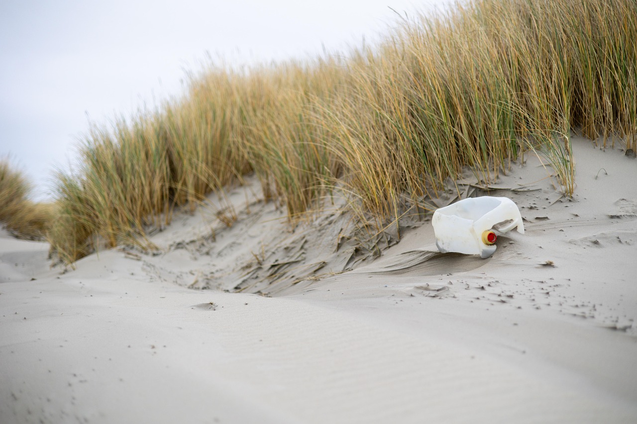 découvrez l'importance de la protection de l'environnement, les défis actuels et les solutions durables pour préserver notre planète pour les générations futures.