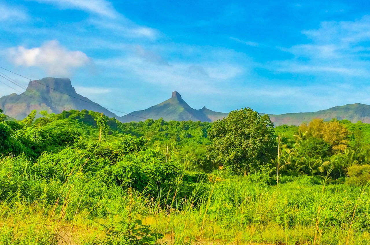 découvrez les ambitions climatiques de l'inde et ses initiatives pour un développement durable face aux défis environnementaux mondiaux.