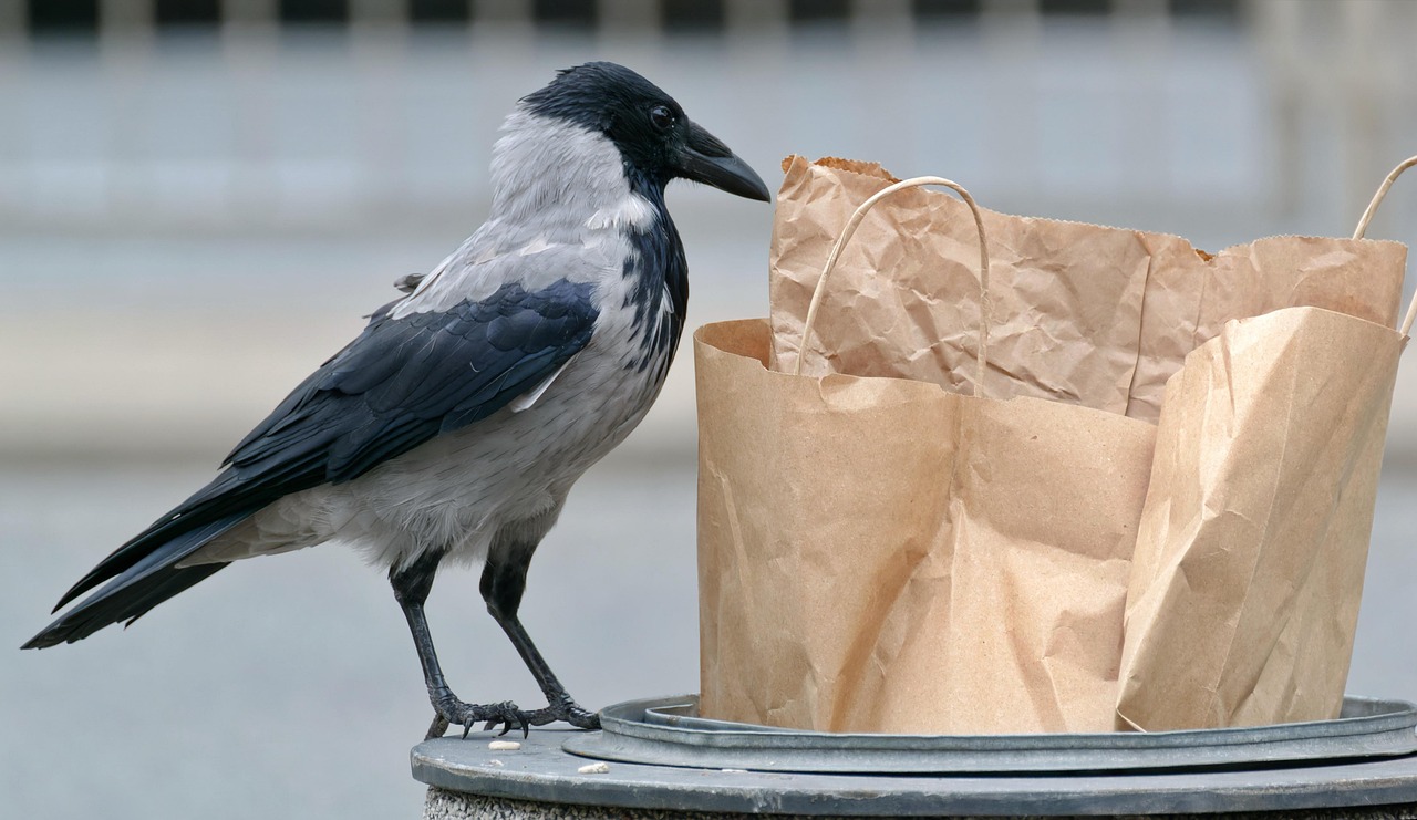 découvrez les enjeux du gaspillage alimentaire, ses impacts sur l'environnement et des solutions pratiques pour réduire le food waste au quotidien.