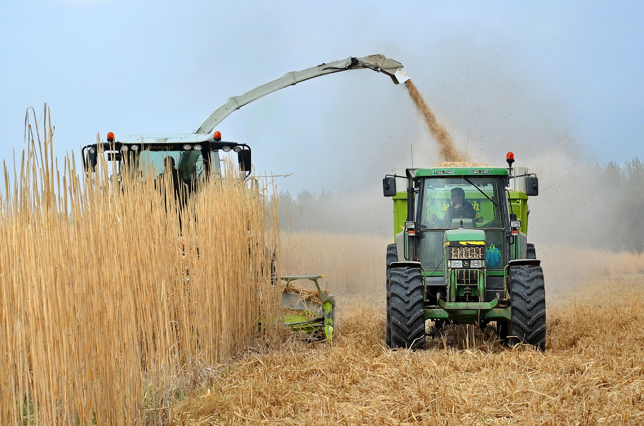 découvrez tout sur les biocarburants : leur fabrication, leurs avantages écologiques et leur impact sur la transition énergétique vers des solutions plus durables.
