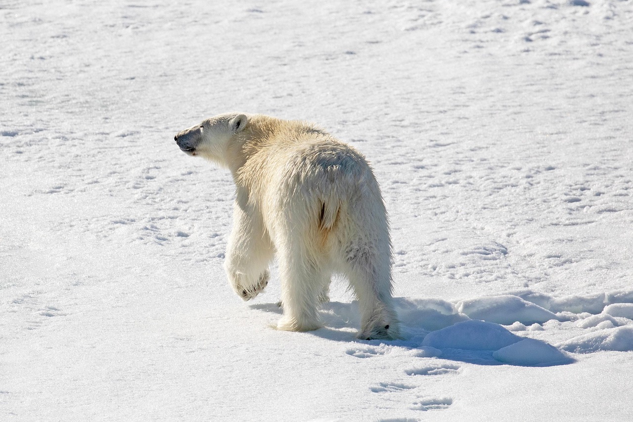 découvrez les engagements du g7 en matière d'environnement et de climat pour un avenir durable et la lutte contre le changement climatique.