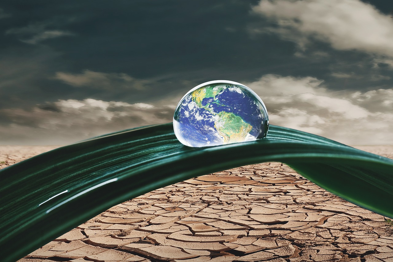 L’élément Terre : des citoyens français face à l’Etat dans leur lutte contre le changement climatique