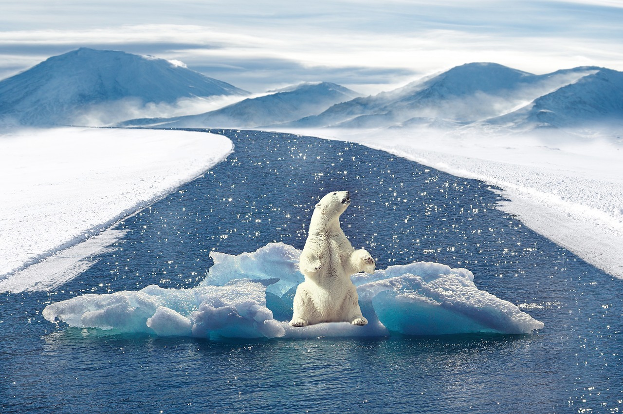 Le Haut Conseil pour le Climat évalue les efforts de la France, un constat peu engageant