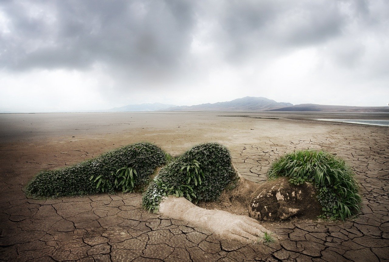 Un vaste revirement : l’écologie face à des sacrifices en France et à l’échelle mondiale