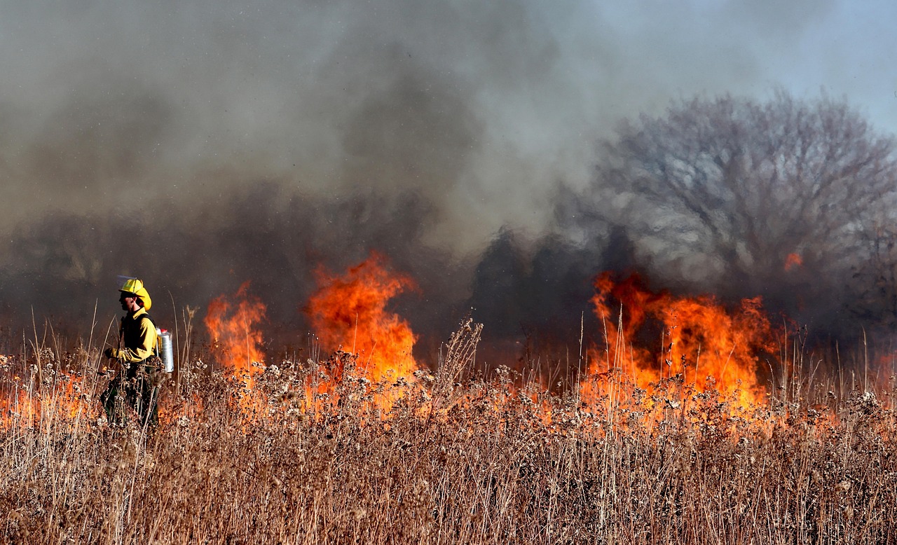 Les incendies de forêt et leur lien avec le changement climatique