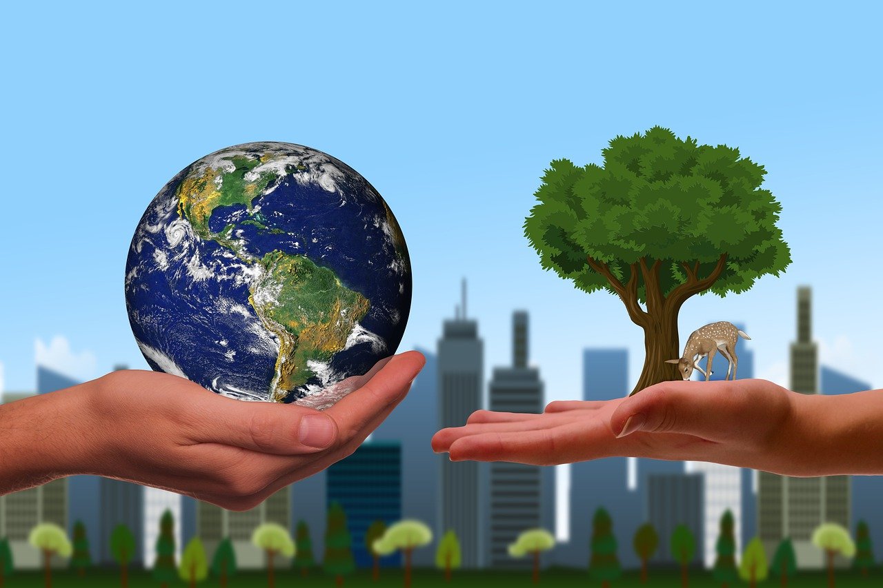 Climat et Biodiversité : Top 20 des Essentiels de Noël 2024 par « Chaleur humaine