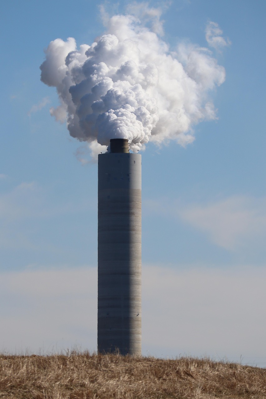 Pollution lumineuse : comprendre ses impacts sur l’environnement et la santé