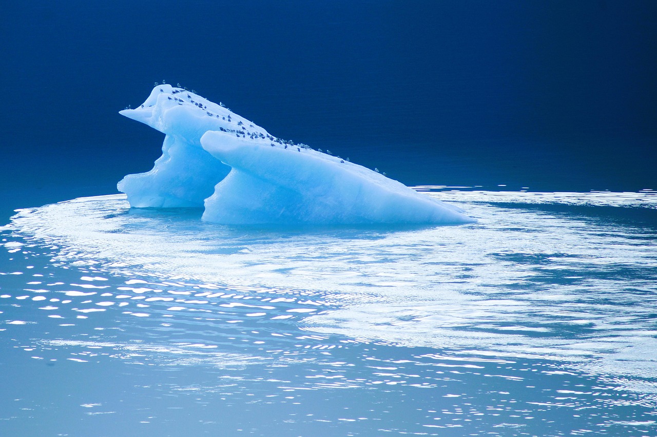 Réflexions sur la crise climatique : une stratégie d’adaptation conçue spécifiquement pour la France