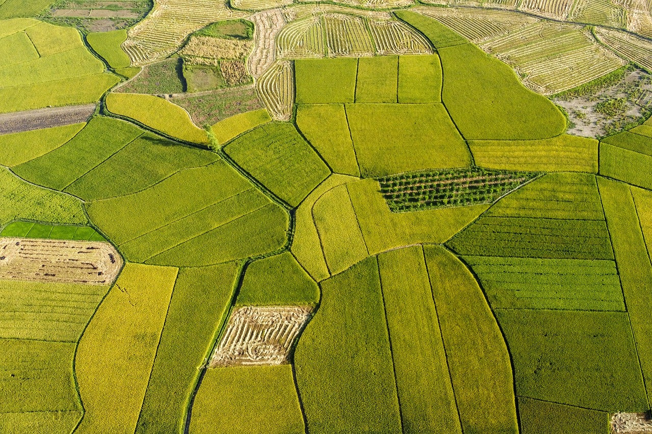 Les enjeux de l’agriculture durable