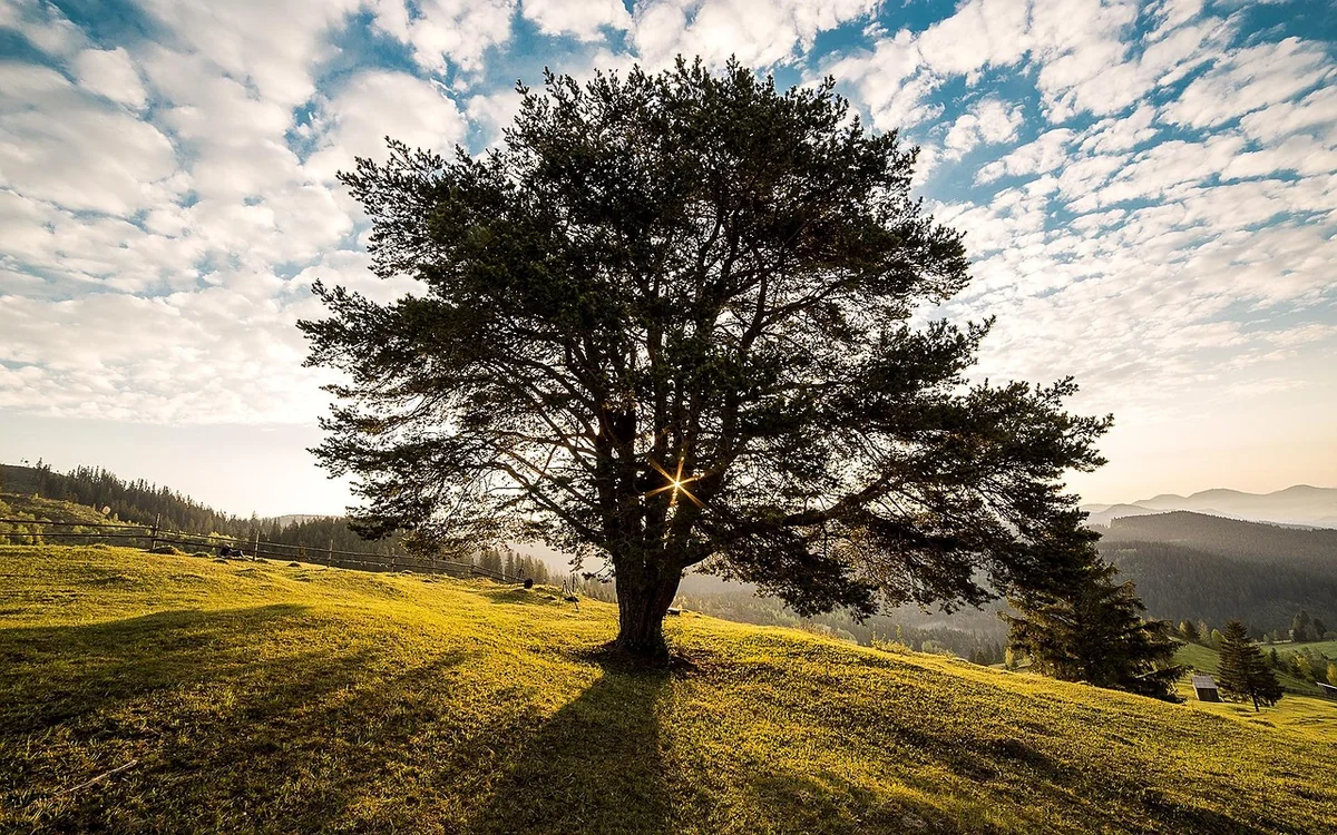 atelier sur le climat : participez à des discussions interactives et des activités pour mieux comprendre les enjeux climatiques et agir pour la planète.
