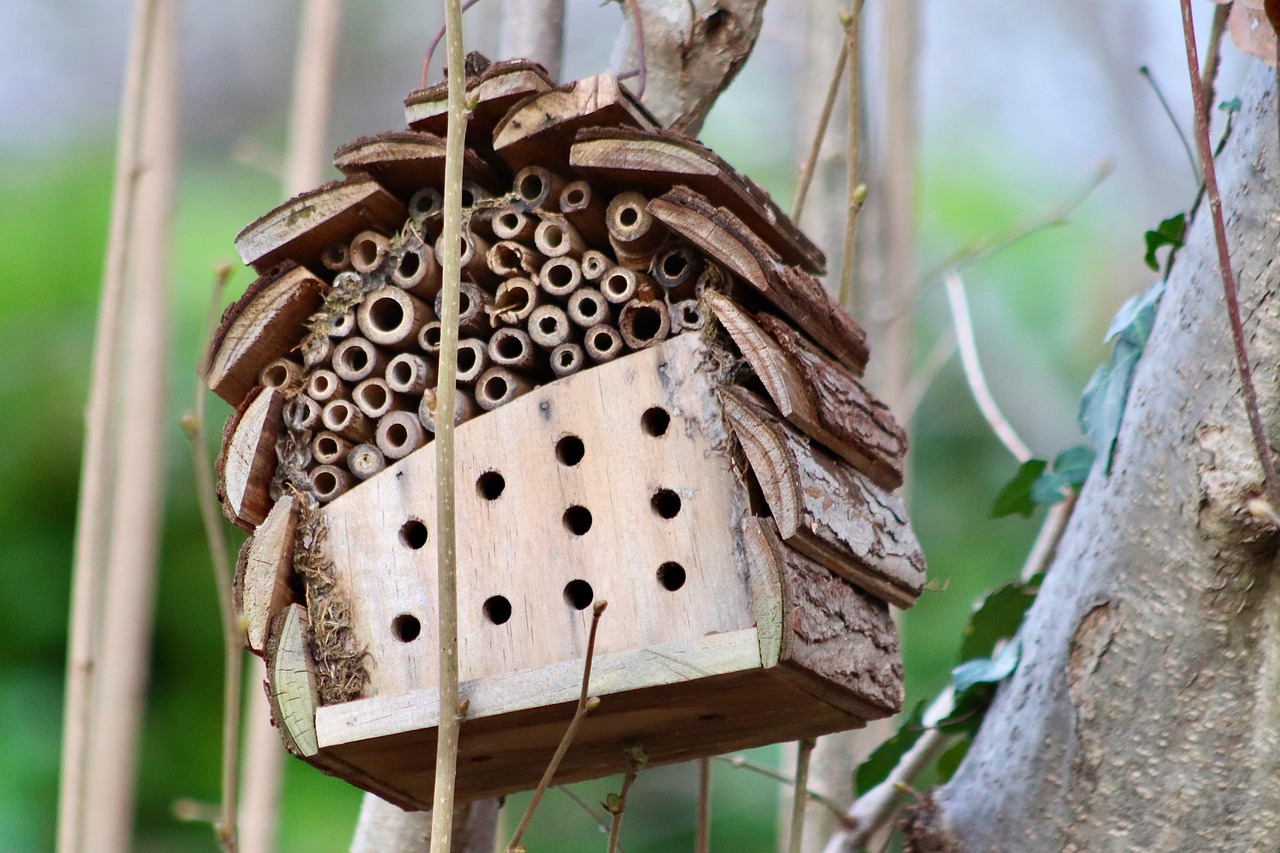 Protection des abeilles : stratégies pour préserver nos pollinisateurs