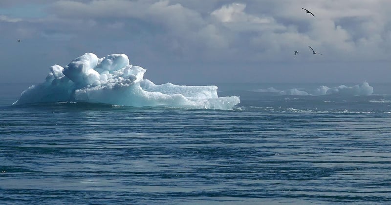 Comment expliquer le changement climatique aux enfants sans les effrayer