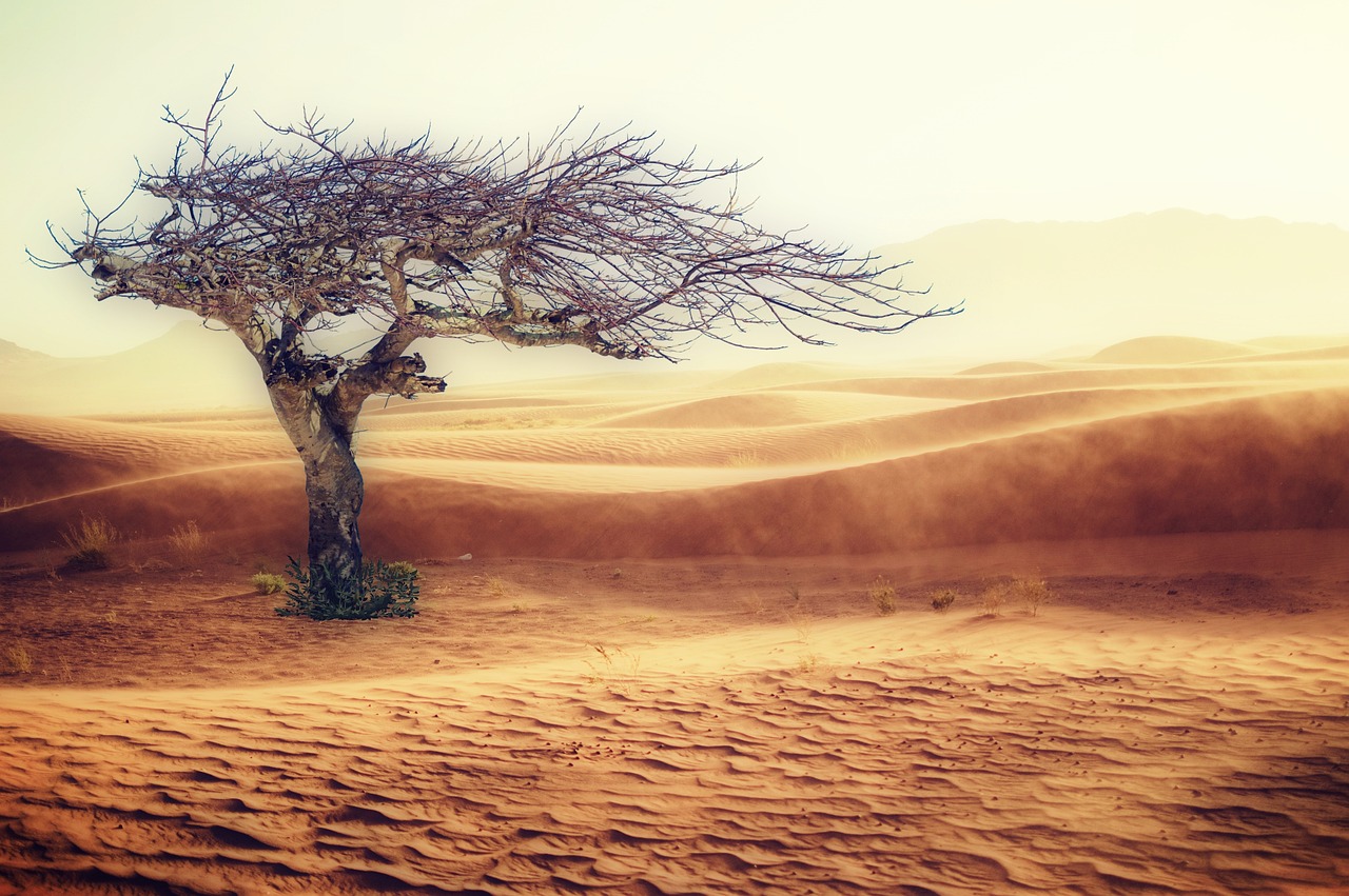 Ana Toni, la directrice générale de la COP30, évoque le changement climatique comme une guerre silencieuse qui s’infiltre dans nos vies quotidiennes.