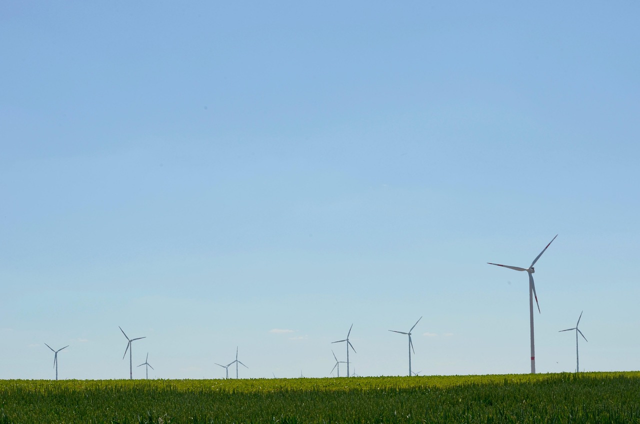 Retour en arrière sur la transition écologique : enjeux des transports, du logement, des énergies renouvelables et de la biodiversité