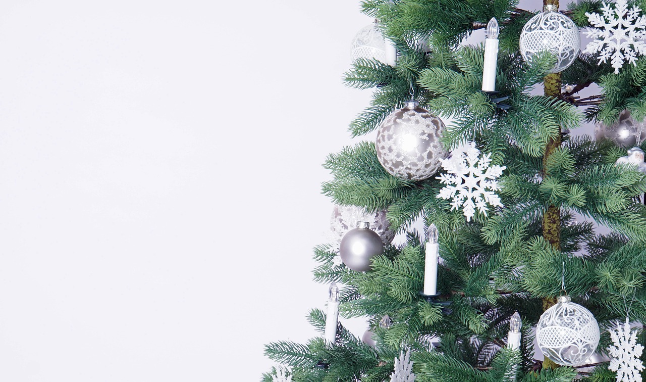 Noël : quel choix écologique entre le sapin naturel et le sapin en plastique ?
