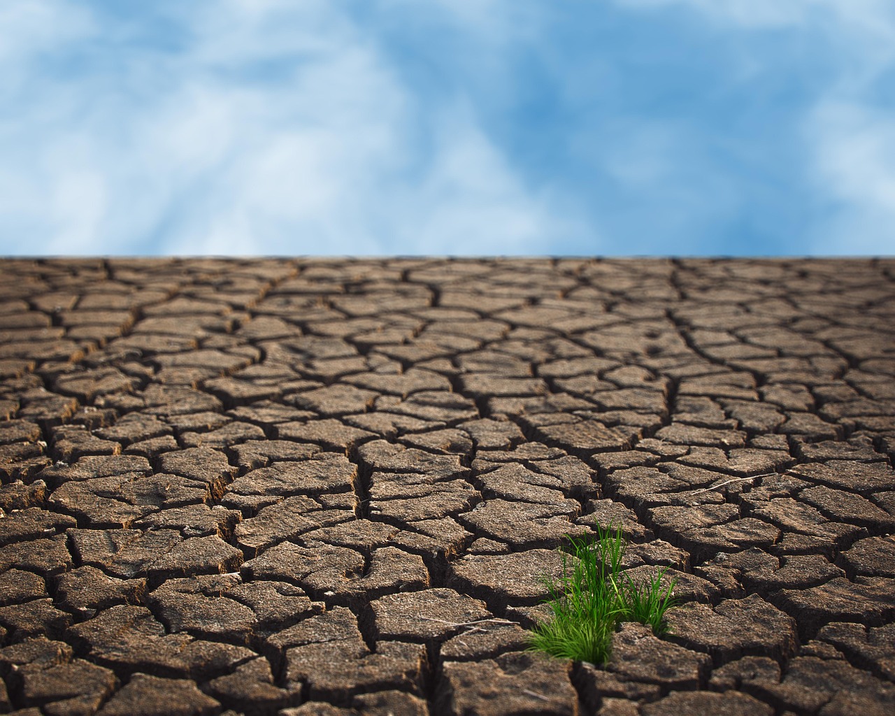 Comment les SfN s’engagent dans la lutte contre le changement climatique