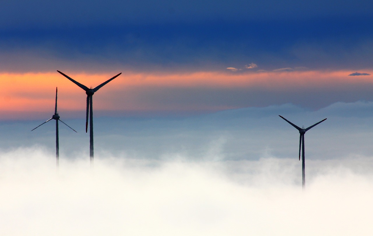 Énergies renouvelables : vers une conscience écologique collective
