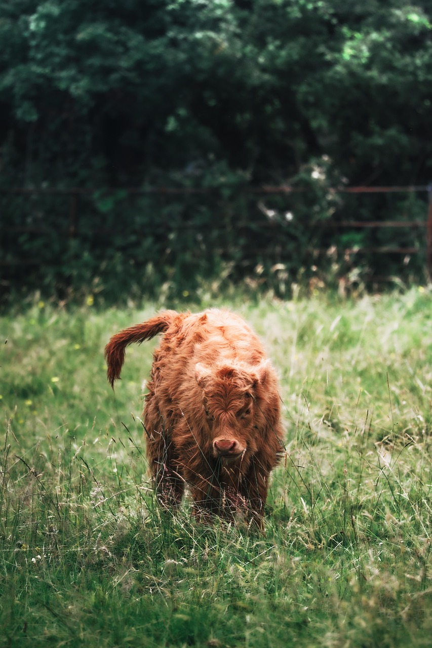 Les clés pour protéger notre planète : guide de soins pour l’environnement
