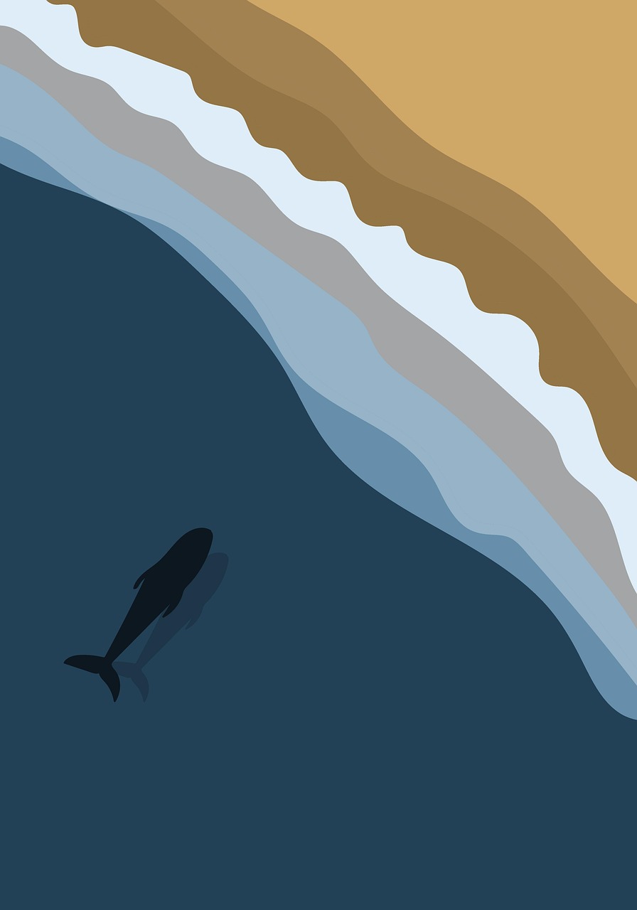 Les Baleines : Les Gardiens Secrets de Nos Océans Face au Changement Climatique