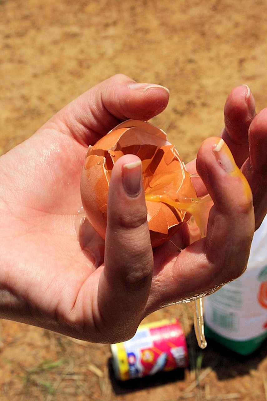Gaspillage alimentaire : solutions concrètes pour réduire le gâchis au quotidien