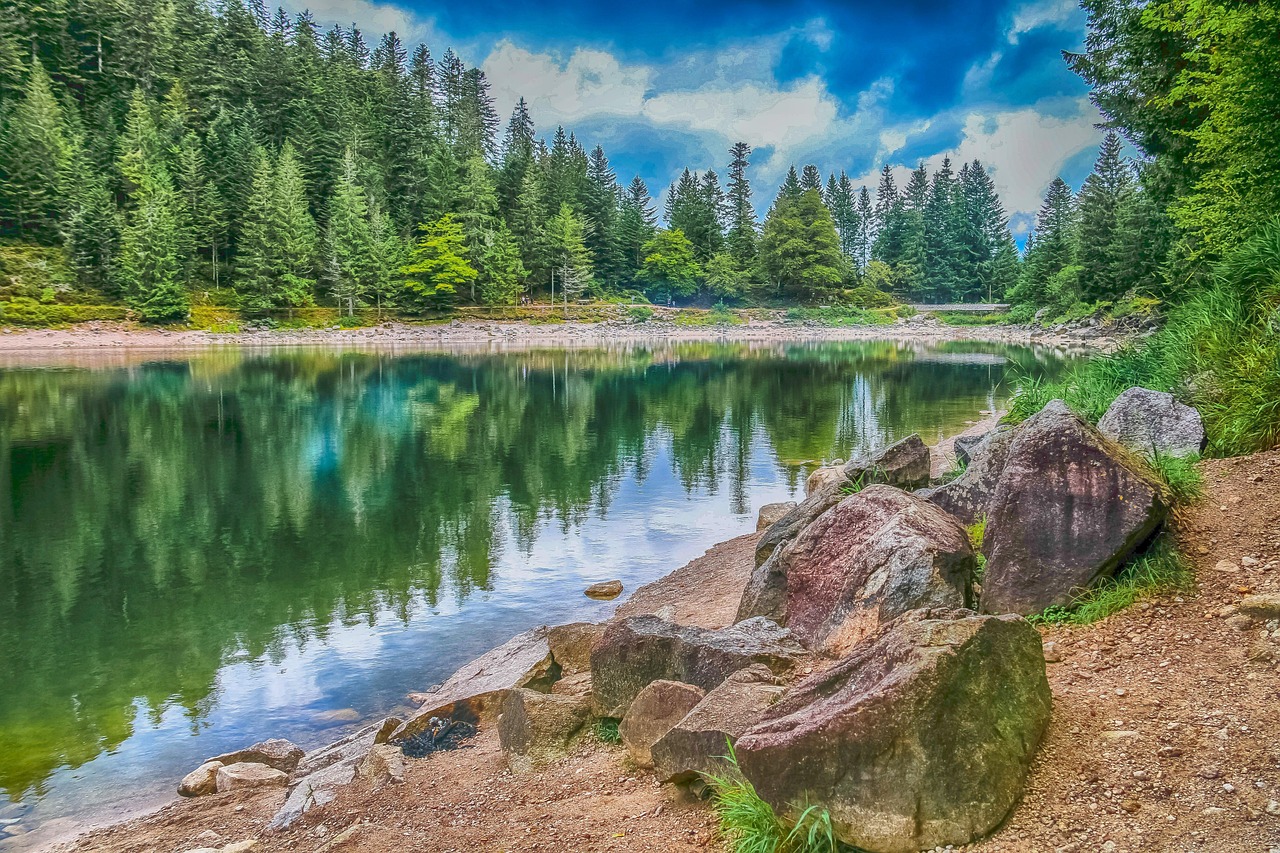Réserve naturelle : un havre de biodiversité à découvrir