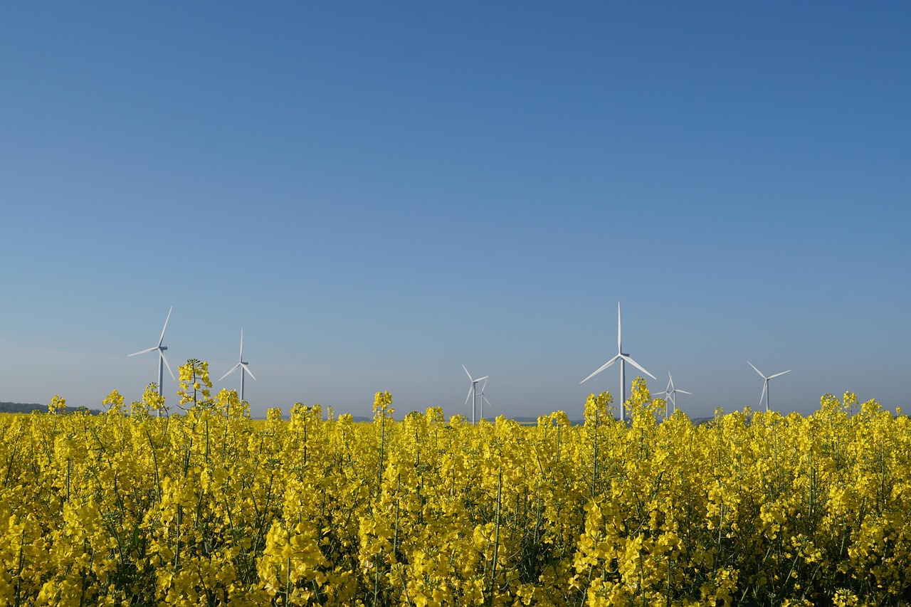 Analyse T&E : Impact des biocarburants sur les stratégies RSE en matière de neutralité carbone